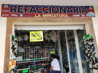 Refaccionaria La Miniatura en Xicotepec