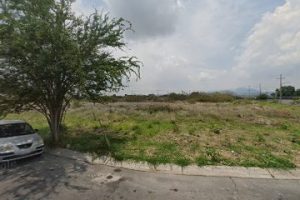 Spr Automotive Cedis Tala (Shark, Partech, Rodatech) en Tala