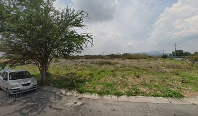 Spr Automotive Cedis Tala (Shark, Partech, Rodatech) en Tala